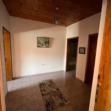 Dedi Apartamento
